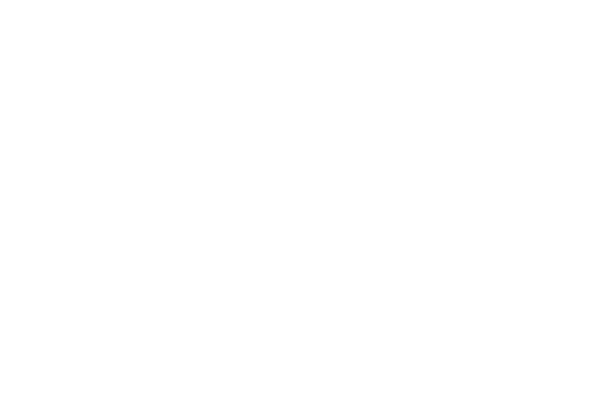 Technische Unie